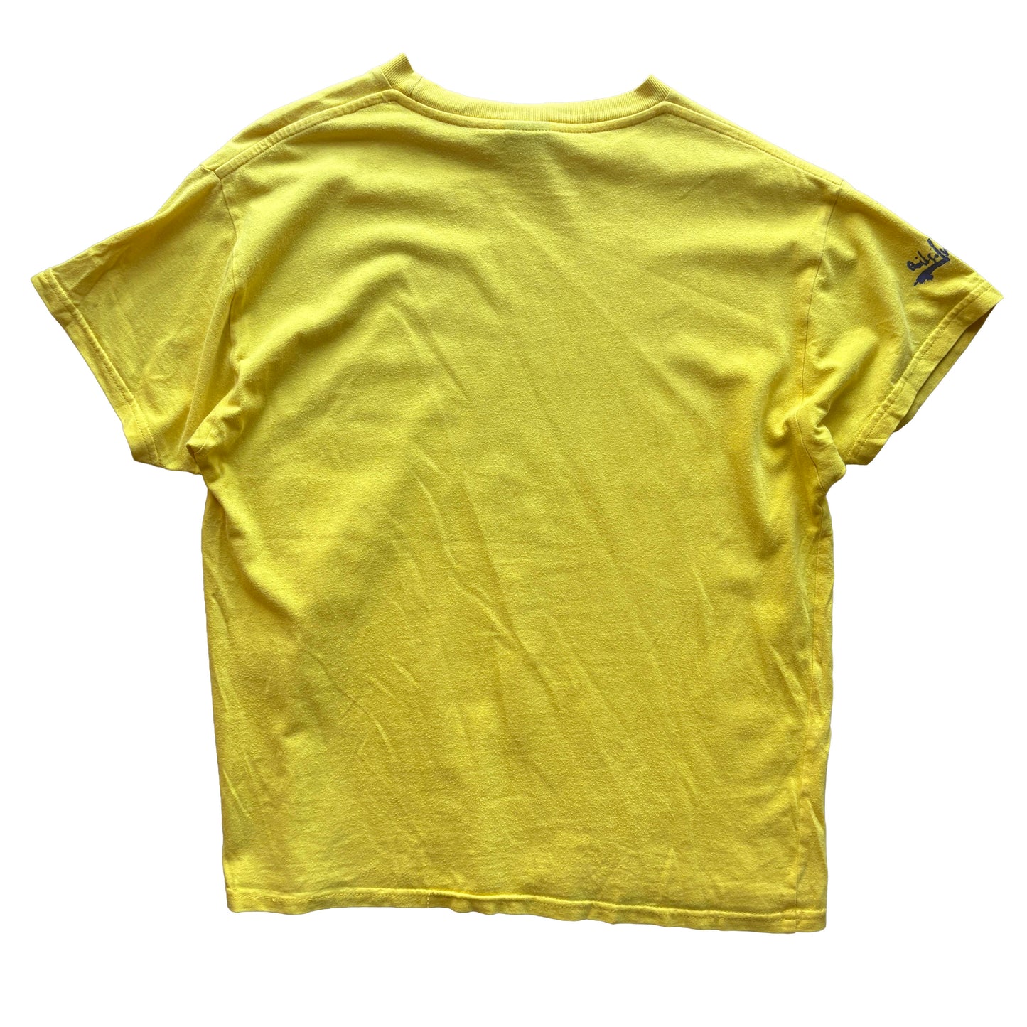 Y2K Bootleg Quiksilver Skate T-Shirt | Small